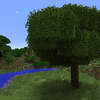 Better Foliage logo